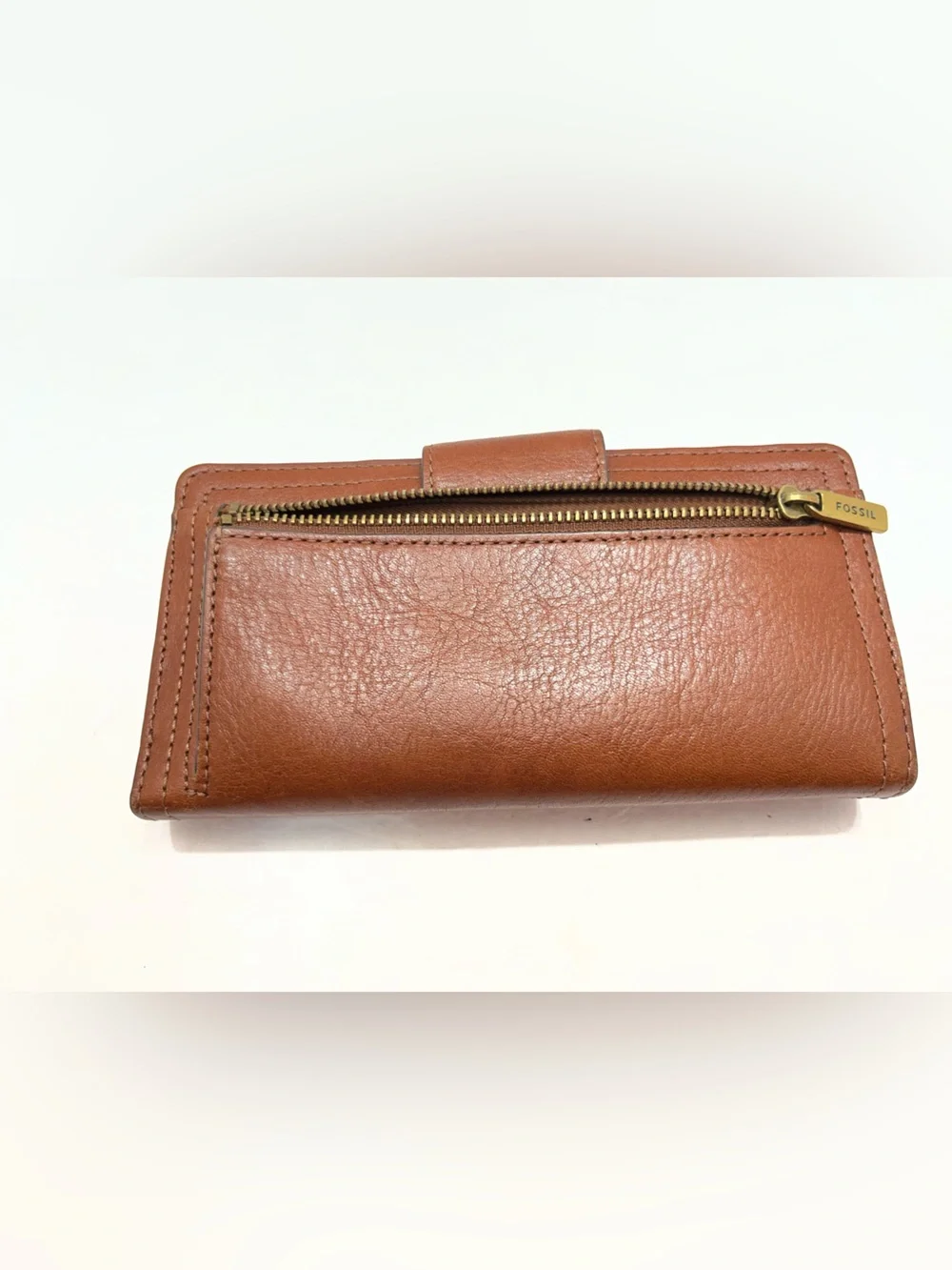 Fossil item description